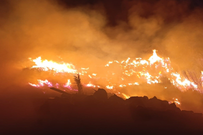 Hatay'da sazlık alanda çıkan yangın büyümeden kontrol altına alındı