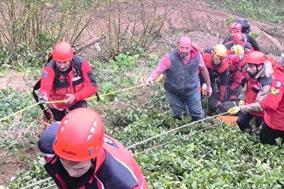 Rize'de üzerine ağaç devrildi, hayatını kaybetti