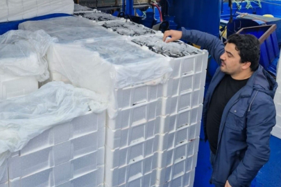 Kastamonu İnebolu'dan 2 milyon 965 bin ton balık karaya çıkartıldı