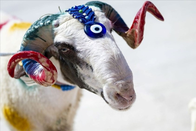 Kurban kesim bedeli ne kadar, kaç TL oldu? (2025 Diyanet yurt içi ve yurt dışı vekaletle kurban kesim bedeli)