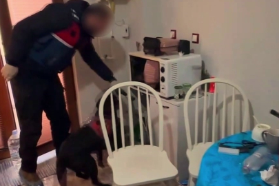 Sakarya'da jandarmadan uyuşturucu operasyonları: 110 gözaltı