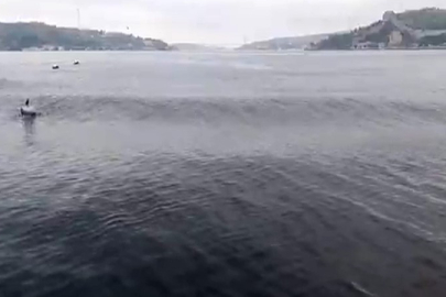 İstanbul'da deprem esnasında İstanbul Boğazı’nda oluşan dalgalar görüntülendi