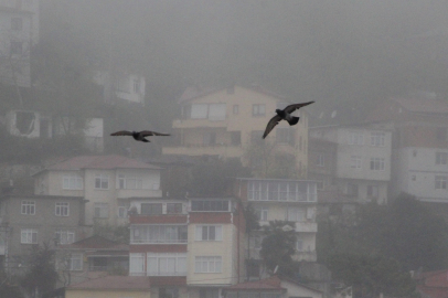 Ordu'da sis etkili oluyor