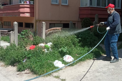 Bursa Karacabey Belediyesi’nden yabani otlara karşı etkin mücadele!