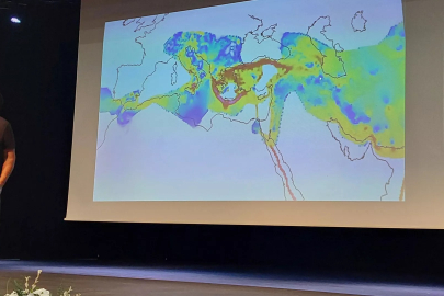 Prof. Dr. Şener Üşümezsoy: Adalar fayı baştan beri ölü bir fay
