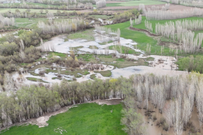 Ağrı'da dere taştı, tarım arazileri su altında kaldı