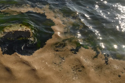 Yalova’da müsilaj görüldü: Köpüksü tabaka oluştu!