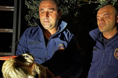 Ağaçta asılı kalan leylek kurtarıldı