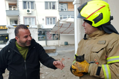 Balıkesir Edremit’te aracın içinde sıkışan yavru kedi kurtarıldı