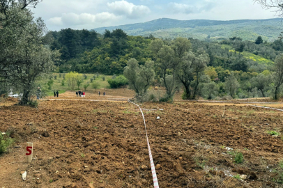 Bursalılara hisseli satış uyarısı: Tarım arazilerinizi koruyun