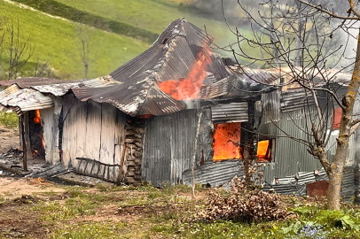 Ordu'da yaşlı adamın evi, çıkan yangında küle döndü