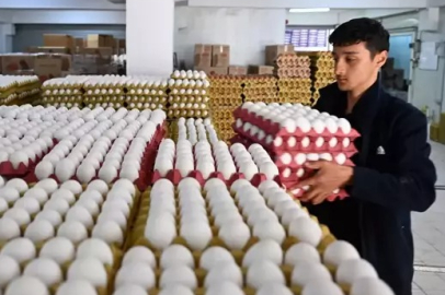 Yumurta fiyatlarına 'fiyat 'düzenlemesi! Normal seviyeye döndü...