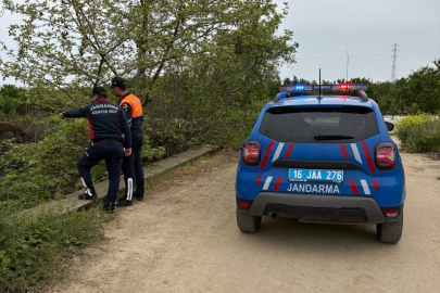 Bursa İznik Gölü'nde kaçak avcılığa jandarma operasyonu