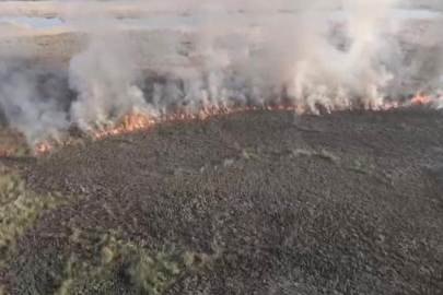 Yangın 60 dönüm araziyi küle çevirdi
