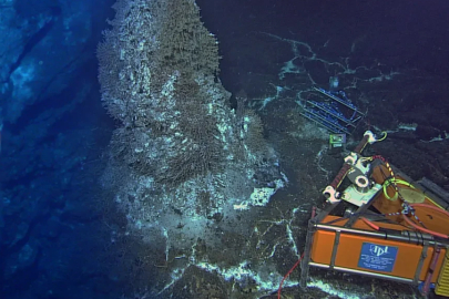 Denizin dibinde patlamaya hazır bir bomba! Burada her gün yüzlerce deprem oluyor