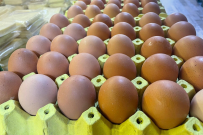 Yumurta kabuğu deyip geçmeyin sanayide çok değerli