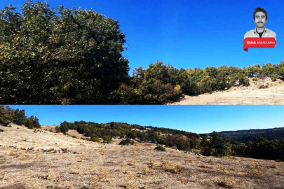 Bursa'da bir mermer ocağına daha onay! Orman ve tarım alanları...
