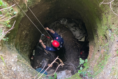 Kuyuya düşen 7 yavru köpeği itfaiye kurtardı