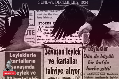 Leylekler ile kartalların dünya tarihine geçen savaşı: Her şey Bursa'da başladı!