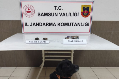 Samsun'da uyuşturucu operasyonu: 1 gözaltı