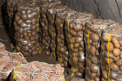 Virüslü çıktı, ülkelere geri gönderildi! 2 bin tondan fazla...