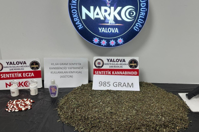 Yalova'da uyuşturucu operasyonunda 2 tutuklama