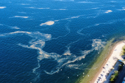 İstanbul Kınalıada açıklarında müsilaj alarmı