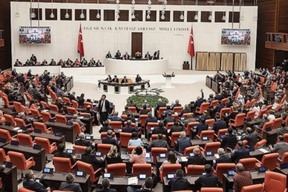 Yeşil pasaport için kanun teklifi Meclis'te: O meslek grubuna da hak tanınacak!