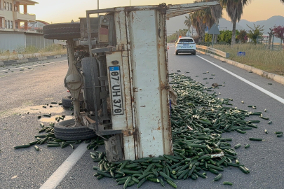 Antalya'da salatalık yüklü kamyonet devrildi: Salatalıklar yola savruldu