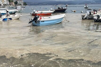 Bursa kıyılarında müsilaj görüldü