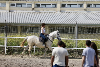 Üniversite öğrencileri Bursa'da atları 'oyunlarla' eğitiyor