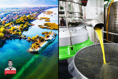 Bursa'ya bir zeytinyağı fabrikası daha! Başvuru yapıldı: İznik Gölü...