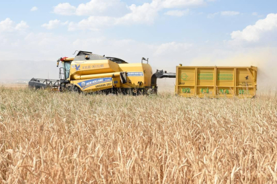 Genel tarım sayımına ilişkin genelge yürürlükte