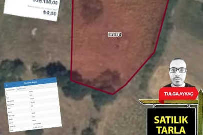 Bursa'da parsel parsel duyuruldu: Çok sayıda arsa ve tarla satılacak! En pahalısı 78 bin TL...