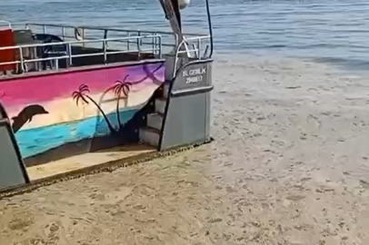 Bursa Gemlik'te turistik mahallelere müsilaj şoku! Endişe yaratıyor...