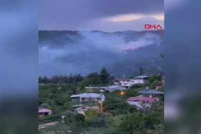 Mersin'de çıkan orman yangını söndürüldü