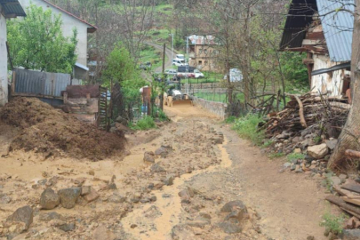 Sivas'ta sağanak sele neden oldu