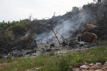 Antalya Alanya'da makilik alanda yangın