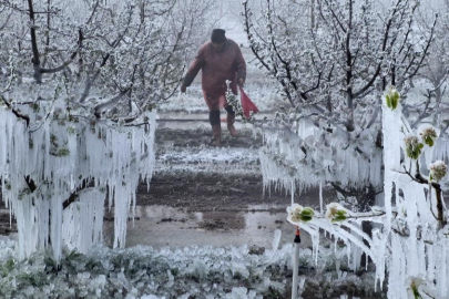 Zirai Don Meclis Araştırma Komisyonu 14 Mayıs'ta toplanıyor