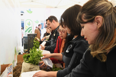 Bursa Osmangazi Belediyesi’nden ücretsiz fide dağıtımı