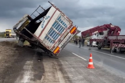 Konya'da tır devrildi, anguslar kayboldu