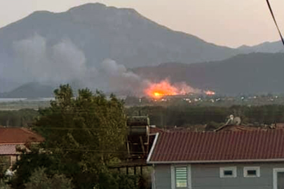 Muğla Köyceğiz’de sazlık alanda yangın çıktı