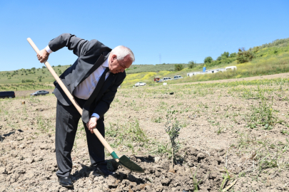 Bursa Nilüfer Belediyesi Konaklı’ya 800 zeytin fidanı dikti