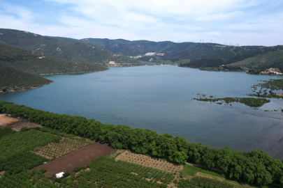 Çiftçinin tüm mahsulleri yerle bir edilmişti: 'DSİ'den Bursa'da çifte standart uygulama' iddiası!