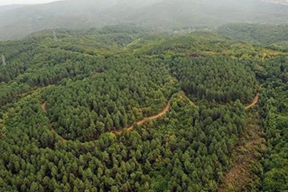 Kütahya'da ormanlara giriş yasaklandı!