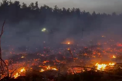 Denizli'de köylüler ve ekiplerin seferber olduğu yangın kontrol altına alındı