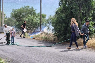 Muğla'da 5 hektar alan zarar gördü