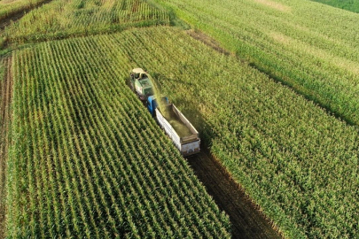 Üreticilere 5,1 milyar lira destekleme ödemesi yapılacak