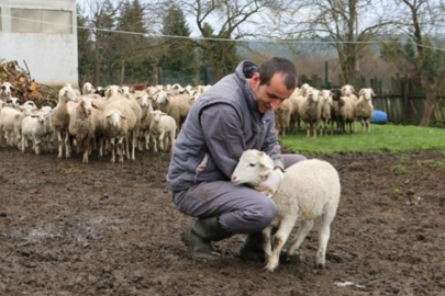 Tarımsal destek programlarından yetiştirici memnun