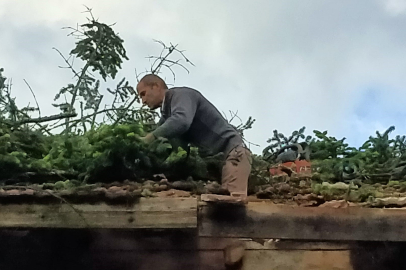 Karabük'te rüzgarın devirdiği ağaç evde hasara yol açtı
